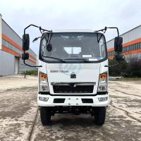 HOWO 4X4 Light Cargo Truck