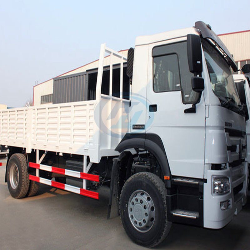 HOWO 4X2 Cargo Truck