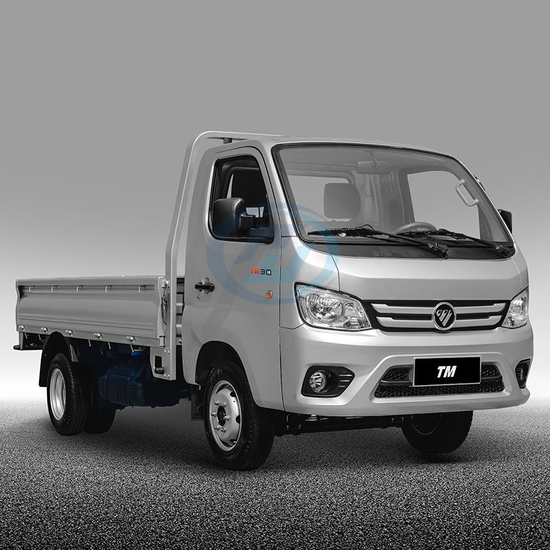 FOTON TM2 Mini Cargo Truck