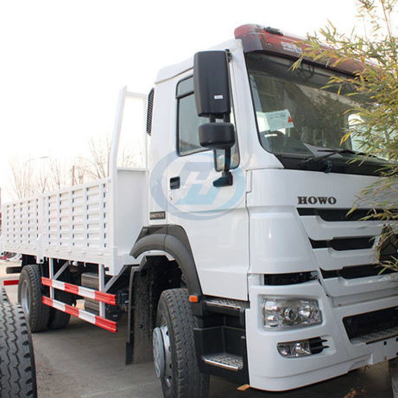 HOWO 4X2 Cargo Truck