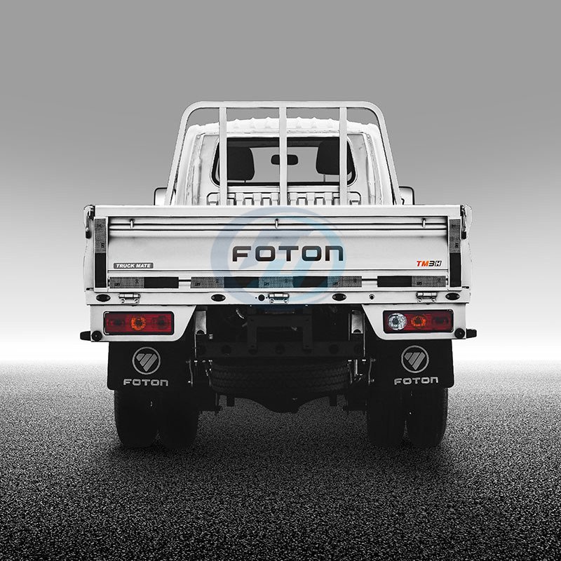 FOTON TM2 Mini Cargo Truck