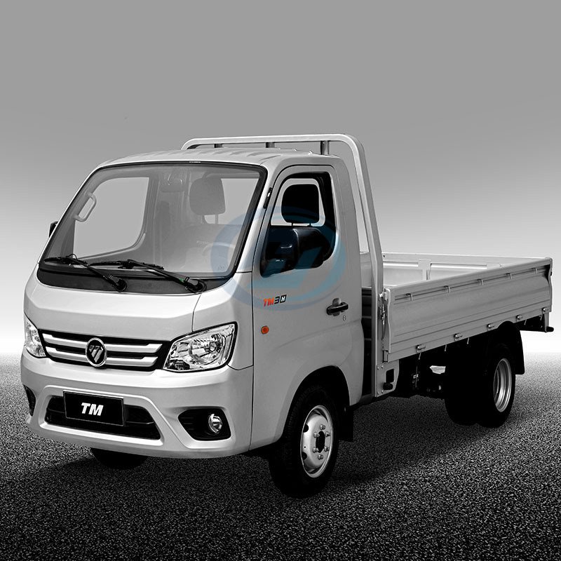 FOTON TM2 Mini Cargo Truck