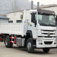 HOWO 4X2 Cargo Truck