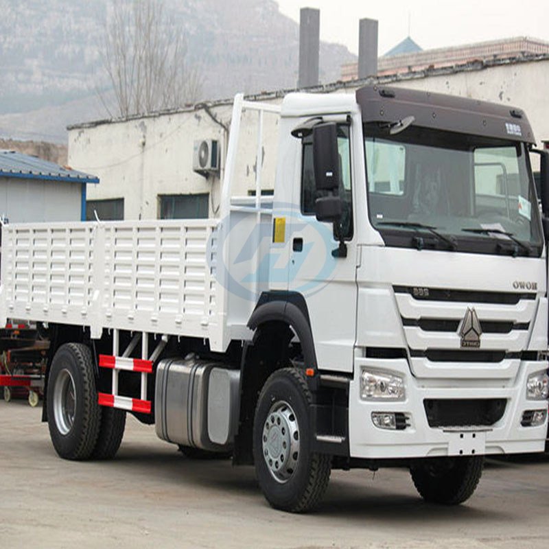 HOWO 4X2 Cargo Truck