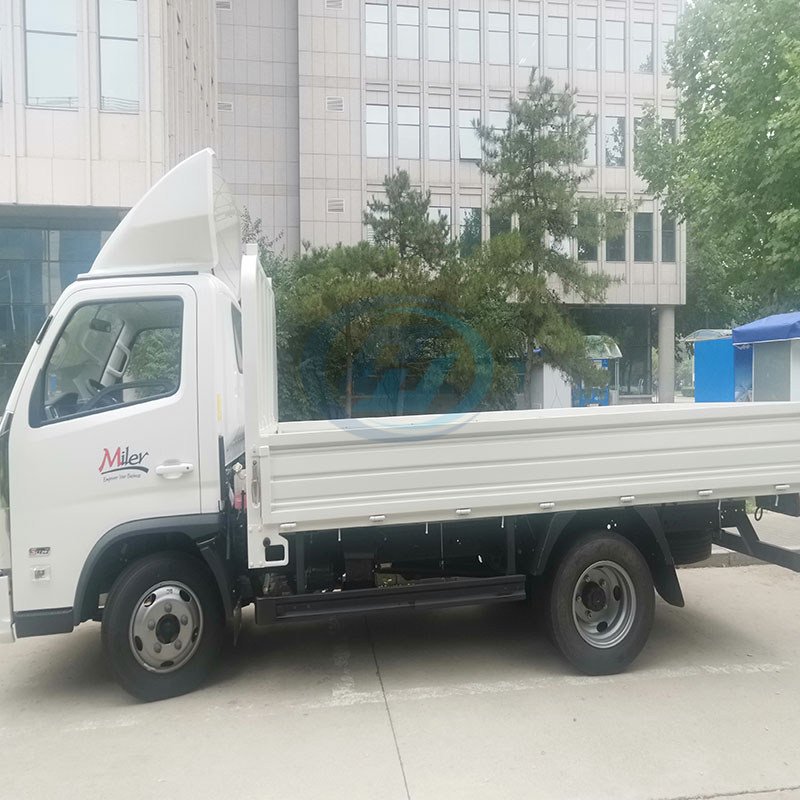 FOTON Miler Mini Cargo Truck